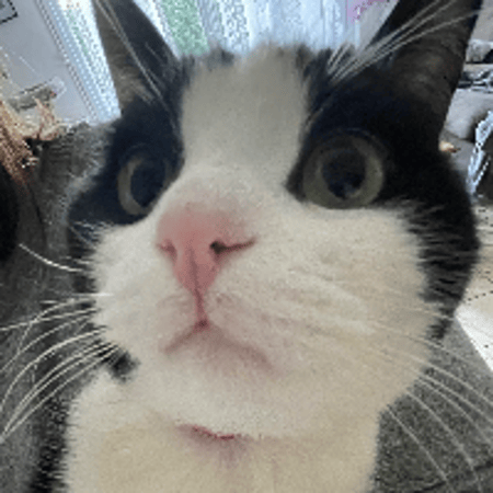 Photo de profil