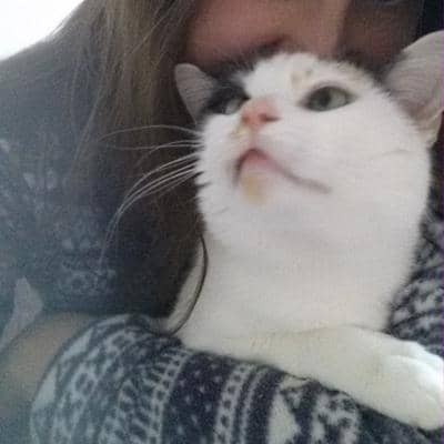 Profilbild