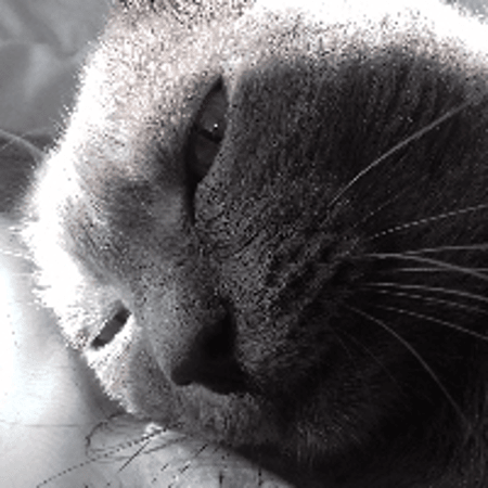 Photo de profil