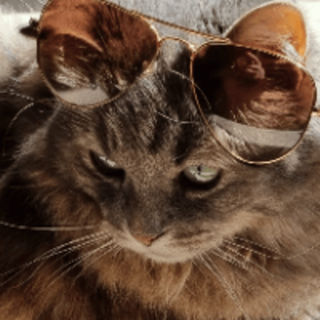 Profilbild