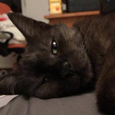 Profilbild