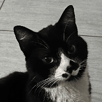 Photo de profil