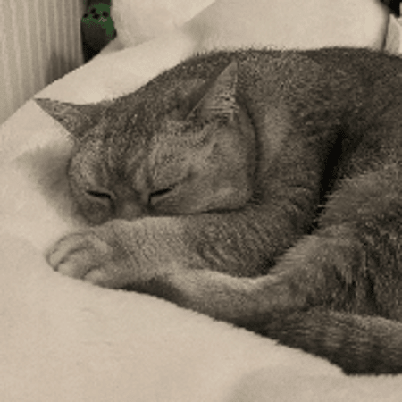 Profilbild