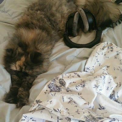 Profilbild