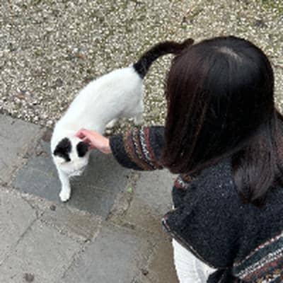 Profilbild