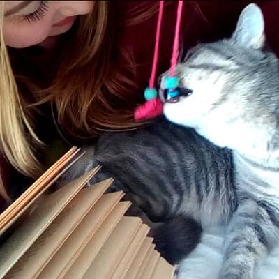 Profilbild