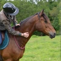 Photo de profil du pet sitter : Manon V.