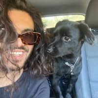 Sitterprofilbild: Ali K.