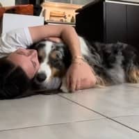 Photo de profil du pet sitter : Diane d.