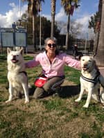 Photo de profil du pet sitter : Laurence  d.