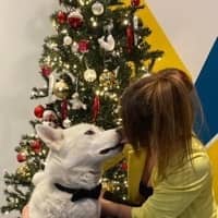 Photo de profil du pet sitter : Tania E.