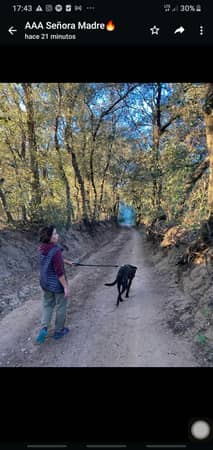 Sitter Profile Image: Marcela P.