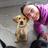 Honore, dog sitter in Motherwell
