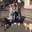 Valerie E Stephany, dog sitter a Milano