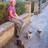 Anna, dog sitter a Matera, MT, Italia