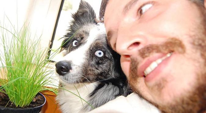 Amore, gioco e coccole per il tuo cane, dog sitter a Bolzano