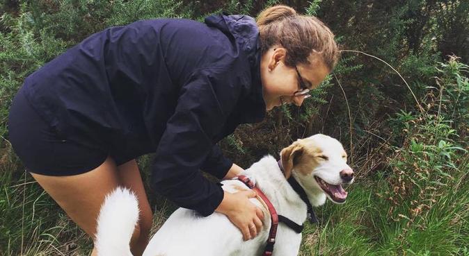 Dreamy Doggy Daycare and Walking, dog sitter in Bristol