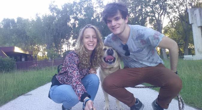 Passeggiate rilassanti con i vostri amici pelosi, dog sitter a Lucca