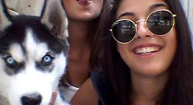 Per un cane più fedele, scegli Rossella Mele!, dog sitter a Parma