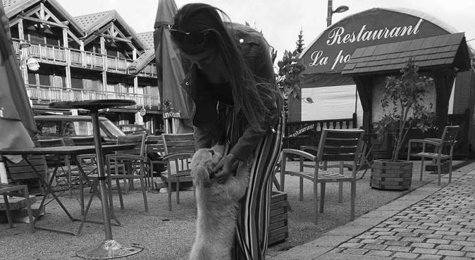 Un trop plein d'amour à partager, dog sitter à La Motte-Servolex, France