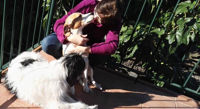 ¡El segundo hogar de tu mascota!, dog sitter a Barcelona