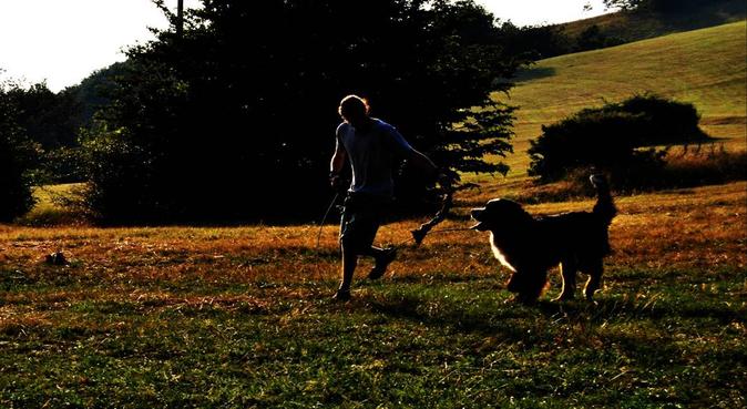 Passeggiate, giochi, esercizi - educatore cinofilo, dog sitter a Torino