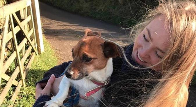 Muddy Paw Walks & Home Comforts, dog sitter in Batley