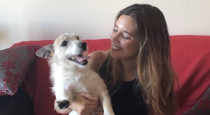 Caring and experienced Dog lover, dog sitter in London, UK