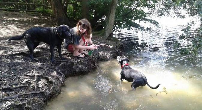 Professional & experienced dog walker in Slough, dog sitter in Slough