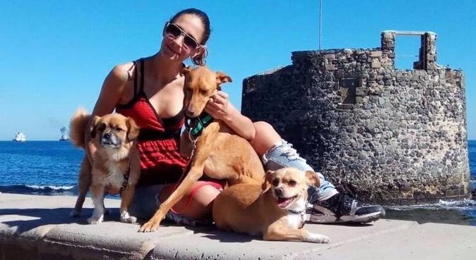 Amante de los perros, dog sitter a Las Palmas