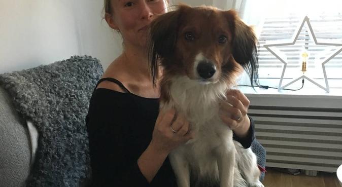 Kärleksfull hundpassning i Bagarmossen 🐶, hundvakt nära Stockholm, Sverige