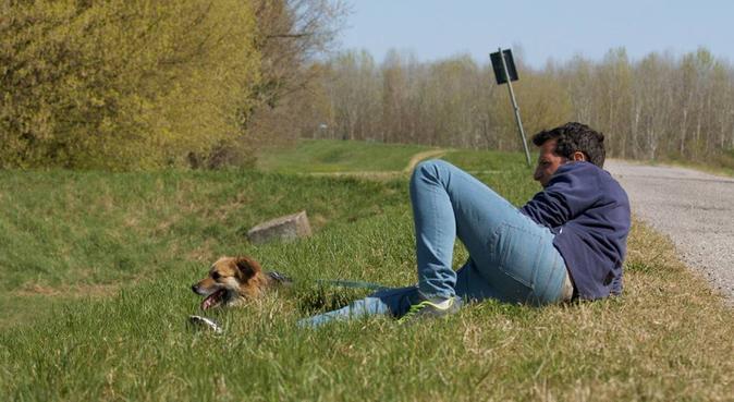 Il can per l'aia - I tuoi cani come a casa, dog sitter a Staghiglione, PV, Italia