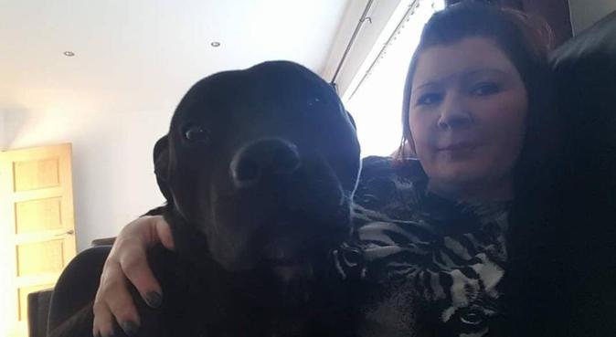 5* loving home from home, dog sitter in Wigan