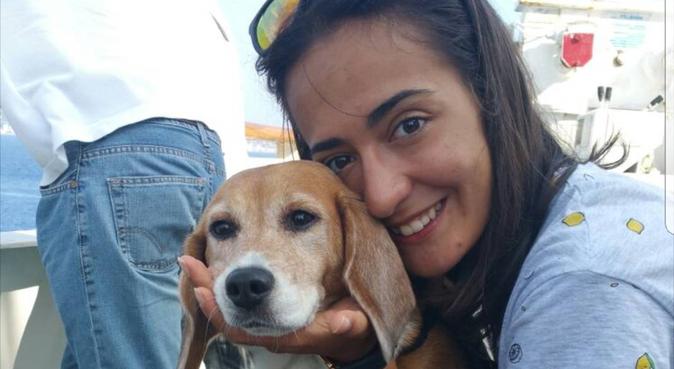 Lunghe passeggiate e tanto AMORE ❤, dog sitter a Rimini, RN, Italia