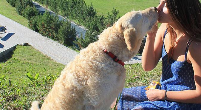 Tanto amore e divertimento per i vostri cuccioli!, dog sitter a Trieste