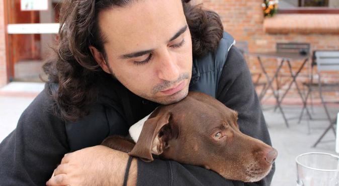 Barriga Mandíbula de la muerte Dejar abajo Cuidadores y paseadores de perros de confianza en Terrassa | DogBuddy