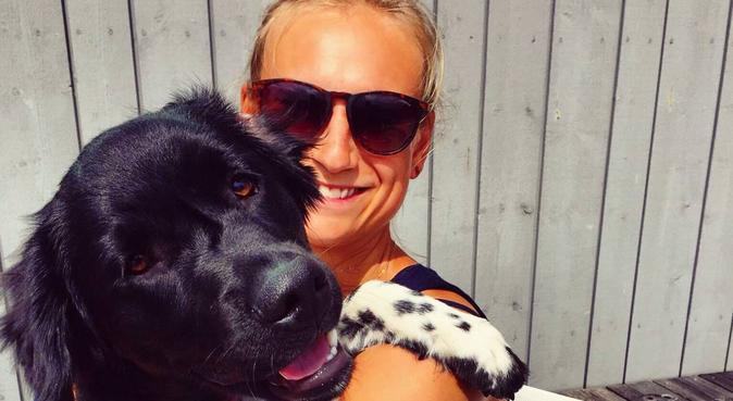 Hundvan kärleksfull hundvakt, hundvakt nära Karlskrona