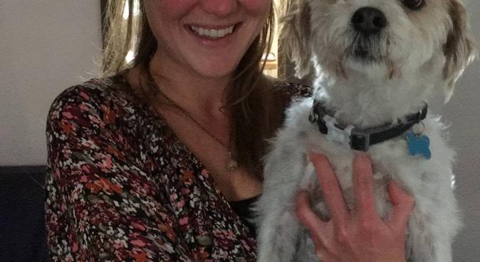 Very Responsible dog loving couple!, dog sitter in West Malling