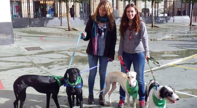 Paseadora de perros joven y activa en Salamanca, canguro en Salamanca