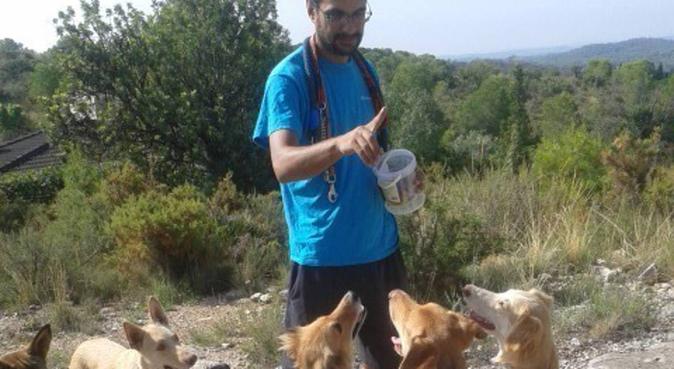 Paseador y educador canino/Dog walker and educator, canguro en Llíria