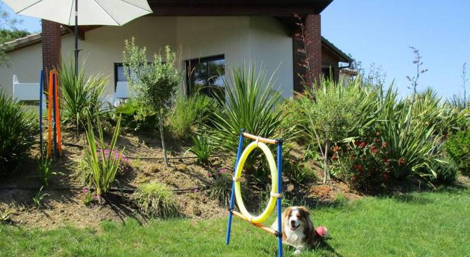 Maison et jardin en pleine nature près de Toulouse, dog sitter à Péchabou