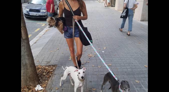Life Long Dog Mom for Rent!, canguro en Barcelona