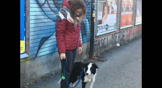 Passeggiate ? Un benessere reciproco, dog sitter a Torino, TO, Italia