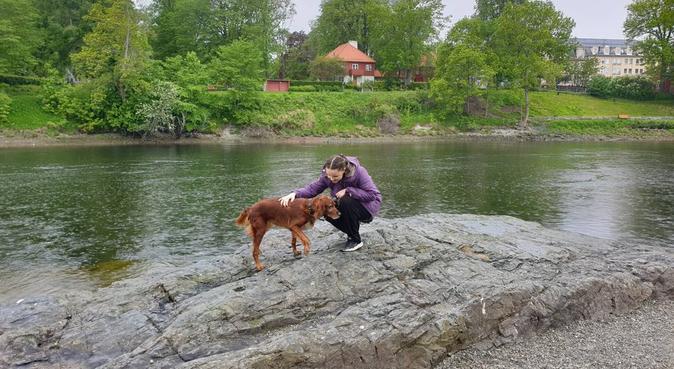 Mastetstudent som trives best med hund!, hundepassere i Trondheim