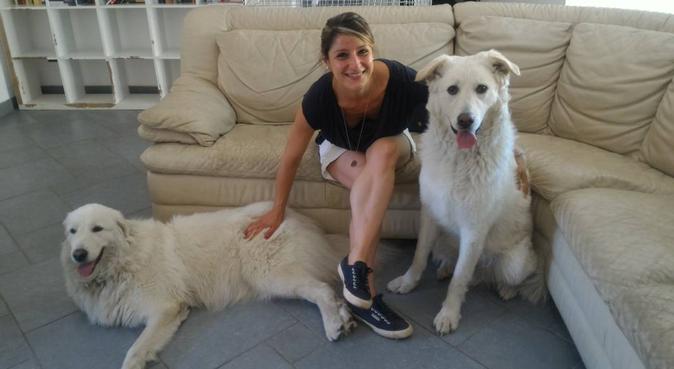 Educatrice cinofila per lunghe passeggiate, dog sitter a Cesano Maderno, MB, Italia