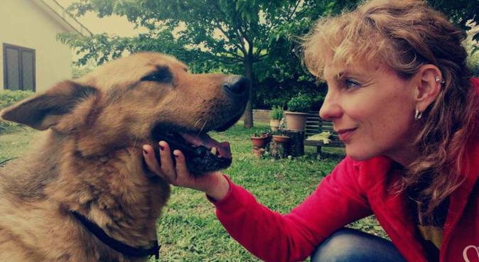 Amore per gli animali e tanto spazio per viverli, dog sitter a Lanuvio