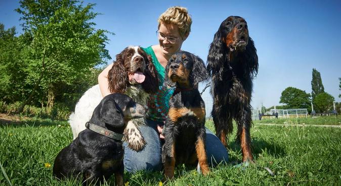 Liebevolle Betreuung in kleiner Gruppe, Hundesitter in düsseldorf