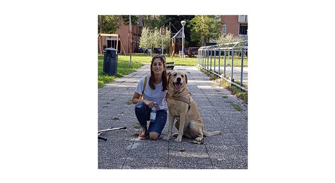 Aria aperta, giochi, coccole: niente noia per noi!, dog sitter a Rimini