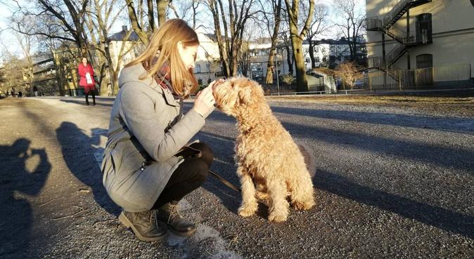 Härlig hundrastning i Vasastan!, hundvakt nära Stockholm
