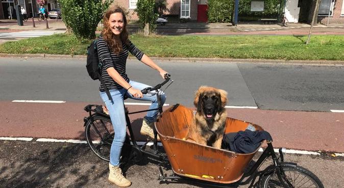 Enthousiast, liefdevol welkom in hondenhof Leiden, hondenoppas in Leiden